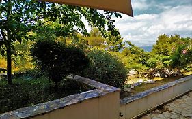 Apartments Kaic